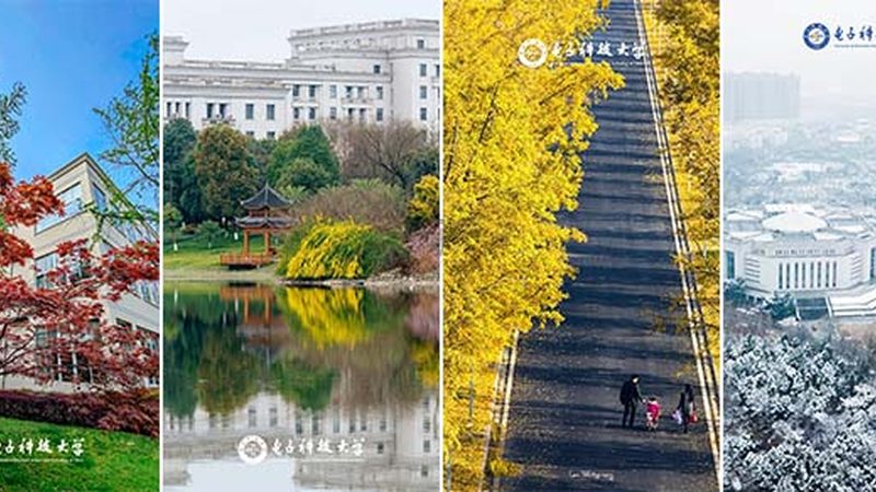 恒流二极管品牌盘点：揭秘行业翘楚与选型要点**